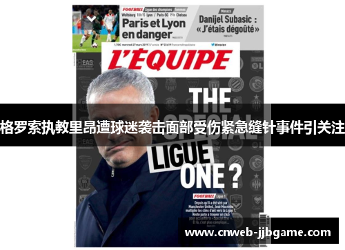 格罗索执教里昂遭球迷袭击面部受伤紧急缝针事件引关注